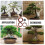 One Set Bonsai Wire Kit For Plant Training And Tree Shaping 9