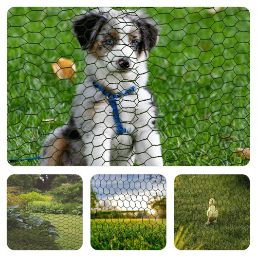 Wire Mesh Fencing Garden Wire Hexagonal Green 1set 2