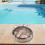 Practical High-Quality Strainer Lid Pool Pump Lid Sand Filter Suitable for Sand Filter Pump for Sand Filter Pump 4