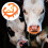 4Pcs Orange Plastic Calf Weaner Cattle Nose Ring Durable Weaning Tool 2