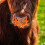 4Pcs Orange Plastic Calf Weaner Cattle Nose Ring Durable Weaning Tool 3