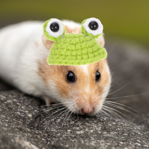 Decorative Hamster Hat Light Green Knitted Pet Hat For  1pcs 1