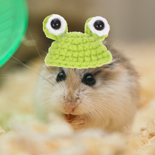Decorative Hamster Hat Light Green Knitted Pet Hat For  1pcs 2
