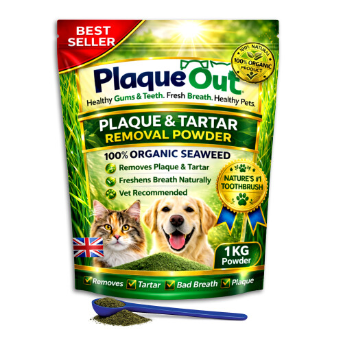 PLAQUE OUT 1KG Pouch Tartar Plaque Off Remover, Bad Breath Dogs, Cats