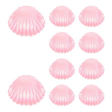 Contenitori per Caramelle con Guscio nel Plastica, Porta Dolcetti per Biscotti, Contenitori per Gioielli, Trucco, Baby Shower, Matrimonio, Compleanno,