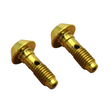 2Pcs Titanium Alloy Bicycle Five-Wire Body Screw Oil Brake Accessories for -Gold