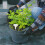 1Ensemble Marques T-Type Plantes Plastique Usage Jardin Facile 4