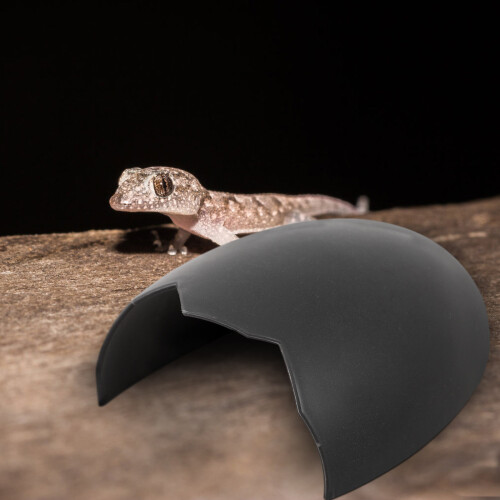 1Reptilien Versteck Kunststoffhaus Eierschalenform 2