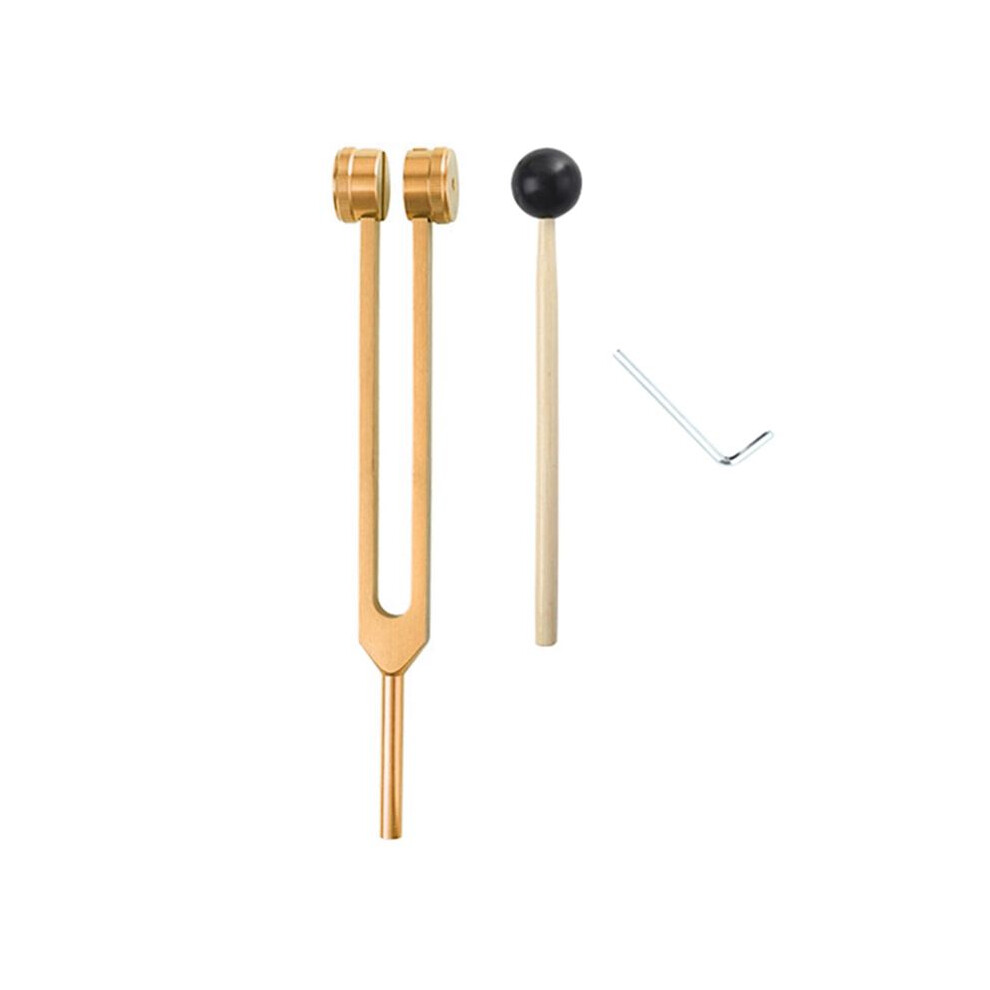 Gold L69a 256 Hz Tuning Fork Medical-Healing Instrument With Hammer A Repair Tool Human Biofield Diapa Son(Gold)