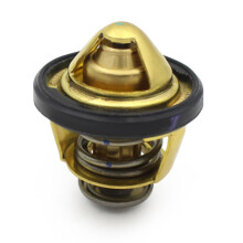 Motorrad Thermostat Kühlthermostat für GTS300 GTV300 GTS250 Motorradzubehör Gold