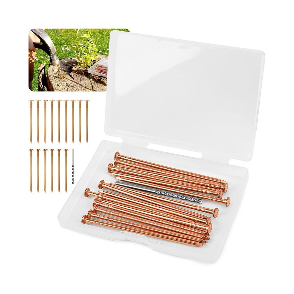 15 Pieces Copper Nails For Killing Tree Stump 3.15 Inch Copper Nails With Drill, Stake Removal Nailer For Trees 4714157465600