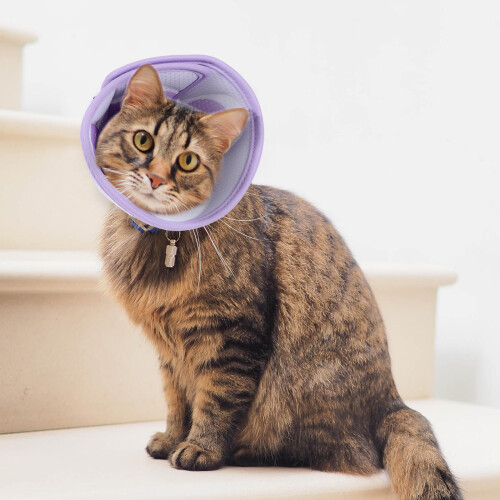 Collier Violet Respirant Pour Chat Après Chirurgie Ajustable 2