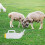 1Pc White Livestock Feeding Bottle Plastic Lamb Calf Nursing Tool 4