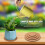 12Pcs Round Cork Mat Coasters For Plant Pots And Drinks 6