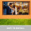 Projection Screen Outdoor High Definition Polyester 1pcs 4