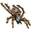 2Pcs Diy Spider Shape Rhinestone Patch For Shoes Clothing Decor 2