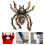 2Pcs Diy Spider Shape Rhinestone Patch For Shoes Clothing Decor 11