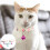 3Pièces Collier Chien Silicone Fluorescent Anti-Perte Coloré 4