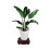 Solid Wood Base Pallet Garden Vase Tray Fish Tank 3
