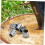 6pcs Iron Axe and Hammer Wedge Set Secure Head Locking Durable Construction for Handle Replacement 4