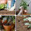 3 Sets Soil Moisture Sensor, with Corrosion Resistant Probe, Module Digital Analog Signal Output for Garden Automatic 5