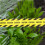 Caution Floor Tape For High Traffic Resistance Black 1 Roll 6