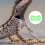 Bearded Dragon Accessories Chameleon Feeder Dish Light Green 3