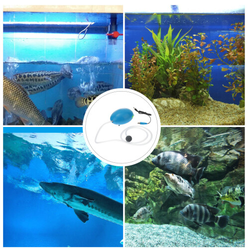 1Pompe Aquarium Portable, Fiable, 2