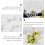 36 Pcs Simulated Dragonfly Wall Stickers Decals Decor Decorative 9