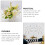 36 Pcs Simulated Dragonfly Wall Stickers Decals Decor Decorative 10