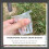 50Pcs White Hydroponic Mesh Plant Pots for Soilless Growth 9