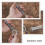 Raindrops Convenient Spring Buckle Tent Accessories 4pcs 11