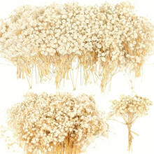 -Getrocknete Schleierkrautblumen, 90 Stück Schleierkrautblumen, Trockenblumen zum Basteln, Hochzeitsdeko Boho