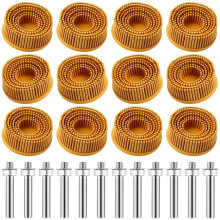 12pcs 2 Inch Brush Disc Grit, Abrasive Brush Discs with 1/4 Inch Handle Attachment,Metal Washer Coating Removal Discs