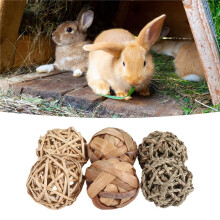 Activiteitsspeelgoed voor Kleine Dieren, Huisdieren Spelen Kauwspeelgoed voor Konijnen, Cavia'S, Gerbils, 6 Stuks