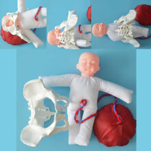 Childbirth Simulator Female Pelvis Anatomical Model with Baby Placenta for Obstetric Training