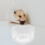 2 Stuks Transparante Hamster- En Chinchillakommen 8