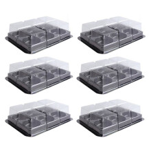 100Pcs 6 Cavities Plastic Mooncake Tray Transparent Muffin Cupcake Mochi Container Cookie Carrier Food Packaging Box