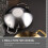 Stainless Steel Wok Double Handle Silver Outdoor Cooking Pan 9