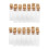 40Pcs 11X32Mm Tiny  Empty Clear Cork Glass Bottles Vials 2Ml 1