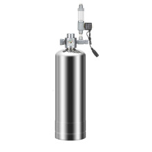 Generatore di CO2 con Valvola Elettromagnetica, Misuratore di , Acquario, Reazione di Materie Prime, Set Generatore di CO2, Spina UE da 2 L