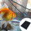 Algodão De Filtro Para Aquário E Tanque De Peixes Em Espuma 10