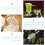 2Stk Multifunktionaler Absinthe Löffel Für Bar Zuhause 9