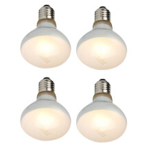 NOMOYPET Lampadina Uva Uva Rettile da 4 Pezzi per Rettili Calore Luminoso Come Il Sole per Rettili, Anfibi E Uccelli (100 W)