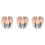 6x Side Wing Mirror Light for  Master  for  Movano for  NV400 2010 2011 2012 2013 2014-2018 1