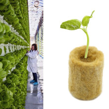 50 Pcs Soilles Plantation ÉPonge Cultiver Jardin Cubes Bouchon de Laine de Roche Substrat de Culture Sans