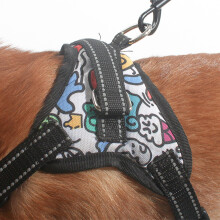 Dog Leash S 1.2m Dark Gray Nylon Traction Buckle