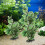Huiselijke Plastic Visplant Aquarium En Bureaublad 6