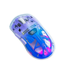 Transparent Wireless Mouse with Digital Screen,2.4G RGB 4000DPI 5-Step Adjustment,Bass Keys, Gamer Mouse,B