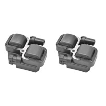 2X External Ignition Coil 2876049 4010425 for  Ranger RZR 800 900 1000 XP EFI 2005-2020